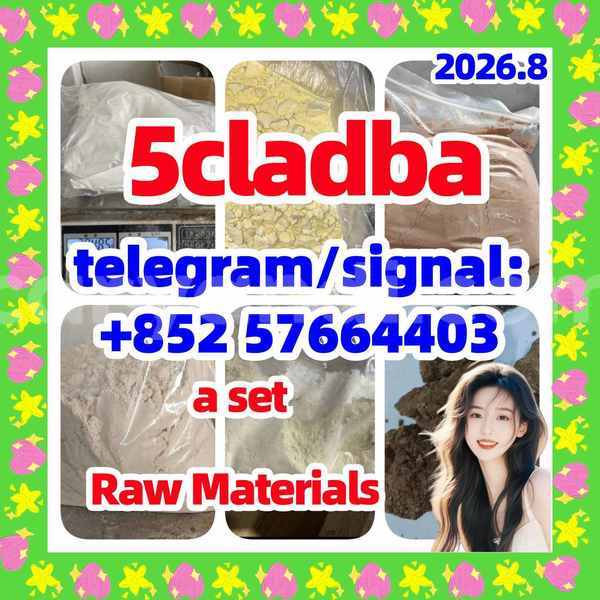 Big with watermark 56