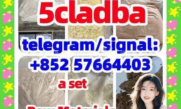 Medium with watermark 56