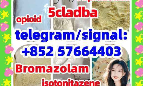 Medium with watermark z1
