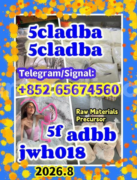 Big with watermark quanbu %e5%89%af%e6%9c%acfdbhdfgb