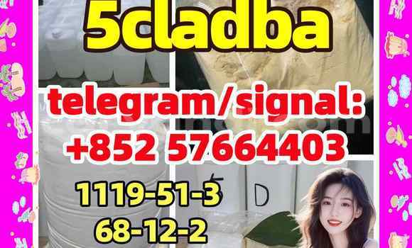 Medium with watermark 51