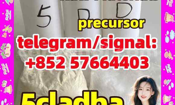 Medium with watermark 55