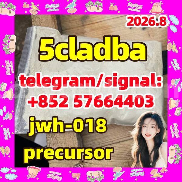 Big with watermark 56