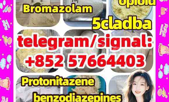 Medium with watermark z1
