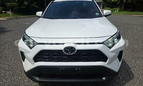 Buy Used Toyota RAV4 White Car in Chingola in Zambia