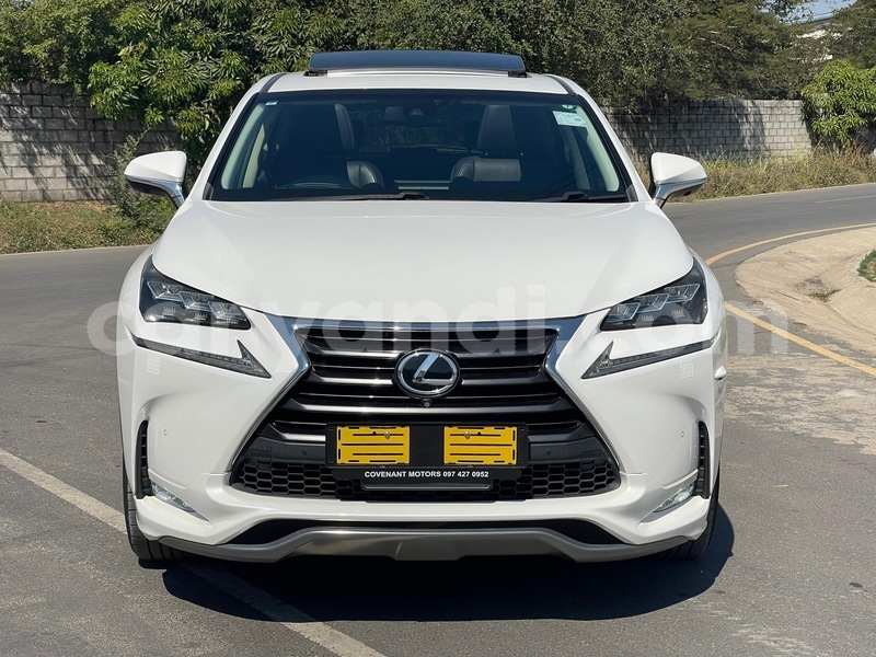 Big with watermark lexus nx zambia lusaka 36863