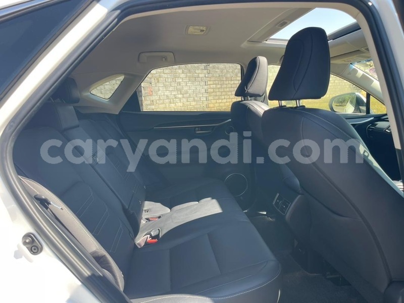 Big with watermark lexus nx zambia lusaka 36863