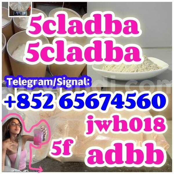 Big with watermark %e6%90%93%e8%bd%ae%e8%9b%8b%e9%bb%84 %e5%89%af%e6%9c%acdfbhfhhb