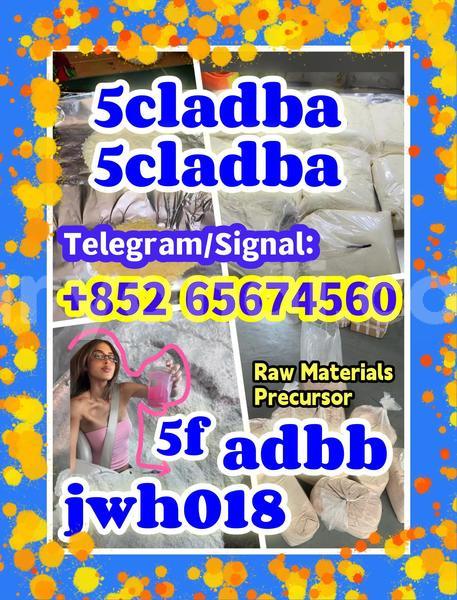 Big with watermark quanbu %e5%89%af%e6%9c%acfsdgvbdfb