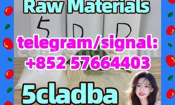Medium with watermark 51
