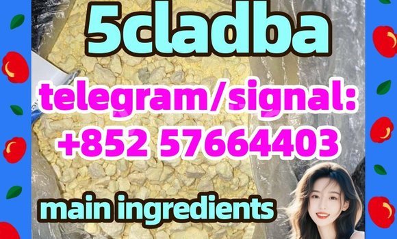 Medium with watermark 53