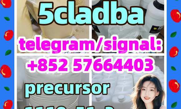 Medium with watermark 54