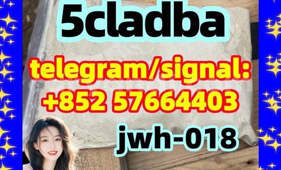 Medium with watermark 51