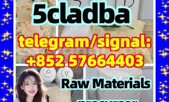 Medium with watermark 52