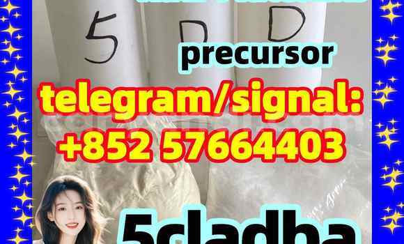Medium with watermark 53