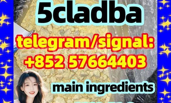 Medium with watermark 55