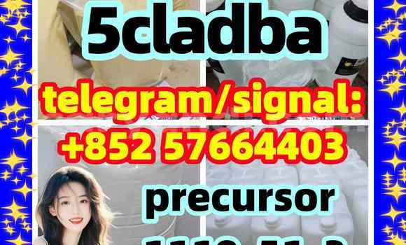 Medium with watermark 56