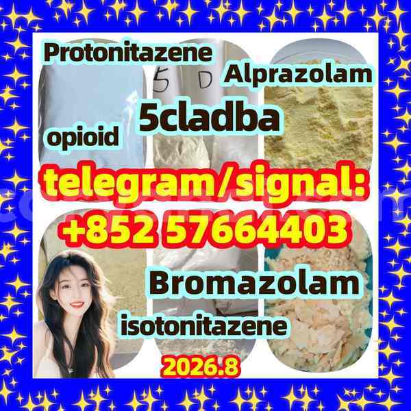 Big with watermark z1