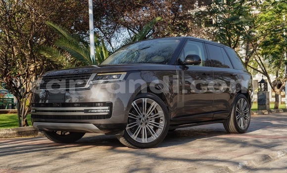 Buy Used Range Rover Range Rover Brown Car in Lusaka in Zambia Buy Used Range Rover Range Rover Brown Car in Lusaka in Zambia