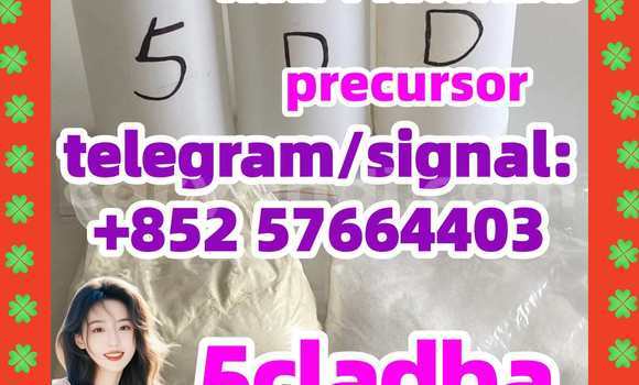 Medium with watermark 52
