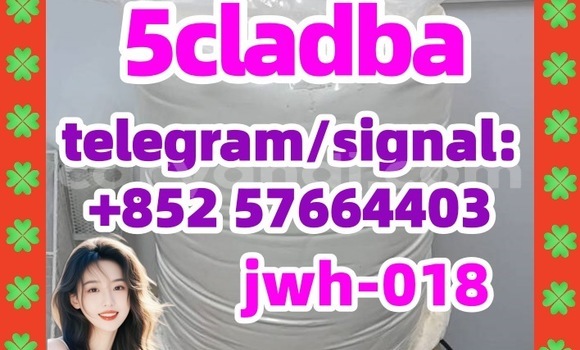 Medium with watermark 51
