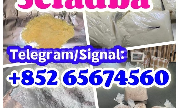 Medium with watermark quanbu %e5%89%af%e6%9c%ac