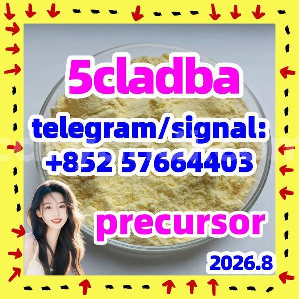 Big with watermark 54