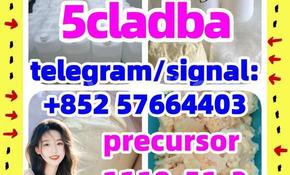 Medium with watermark 55