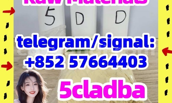 Medium with watermark 56
