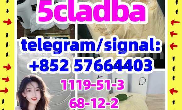 Medium with watermark 57