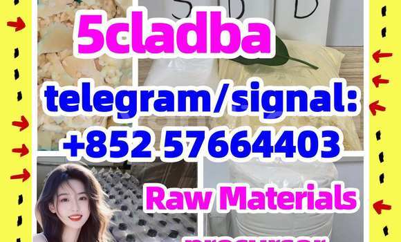 Medium with watermark 58