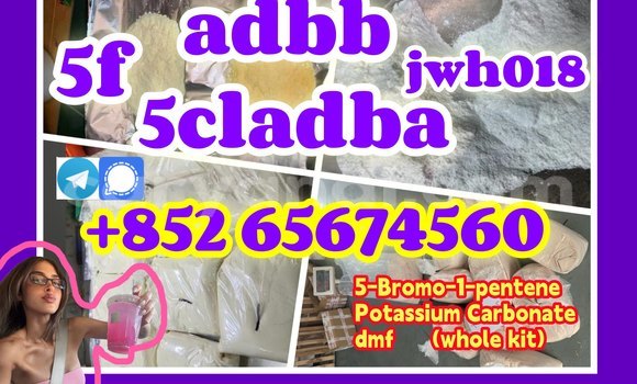 CAS 1119-51-3 