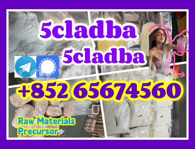 Big with watermark quanbu %e5%89%af%e6%9c%acdcbgdfhfg