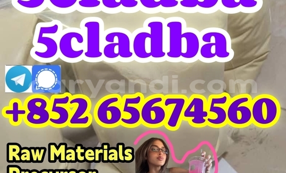 Medium with watermark egefhrthtrhtyytyt