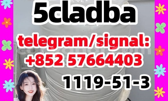 Medium with watermark 51