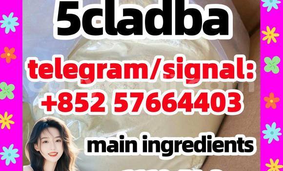 Medium with watermark 55
