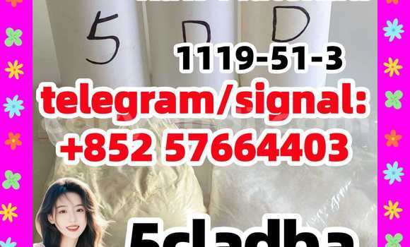 Medium with watermark 52