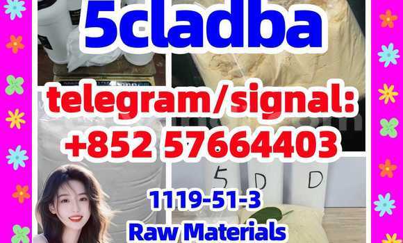 Medium with watermark 54