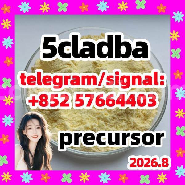 Big with watermark 53