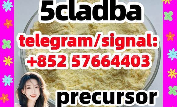 Medium with watermark 53