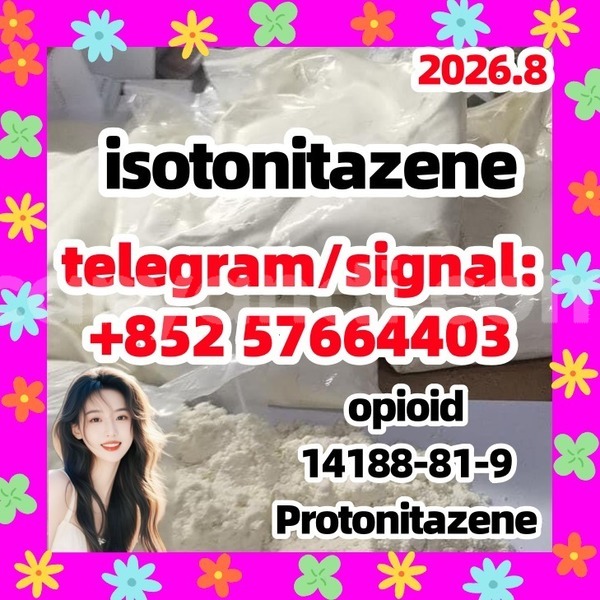 Big with watermark i1