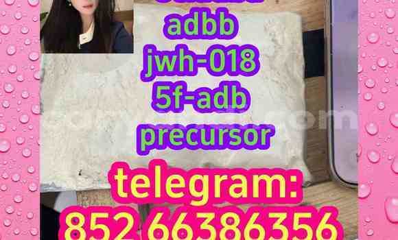 Medium with watermark 7