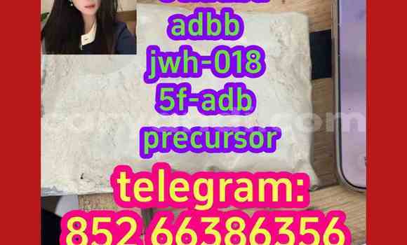 Medium with watermark 12