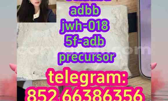 Medium with watermark 13