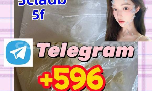 Medium with watermark thdrfh