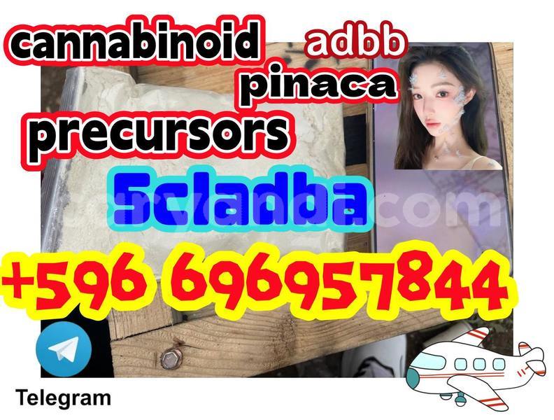 Big with watermark cvbn