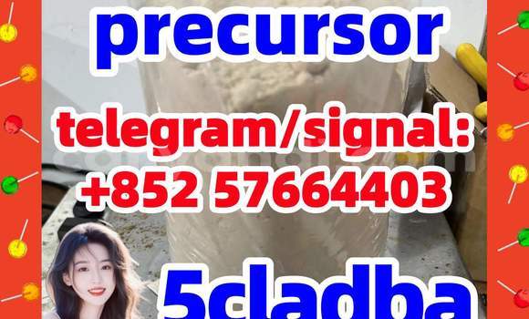 Medium with watermark 55