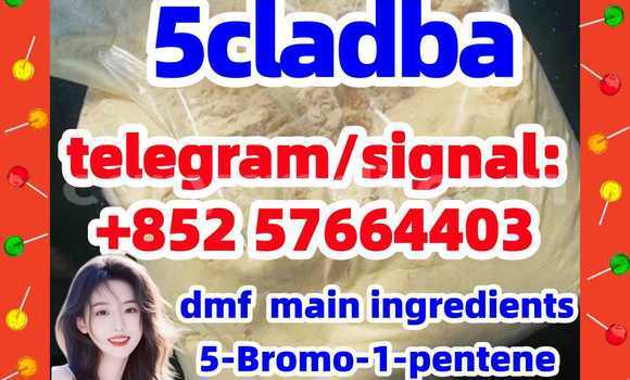 Medium with watermark 54