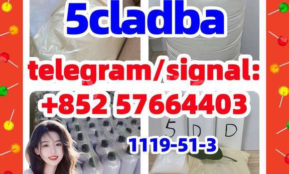 Medium with watermark 52