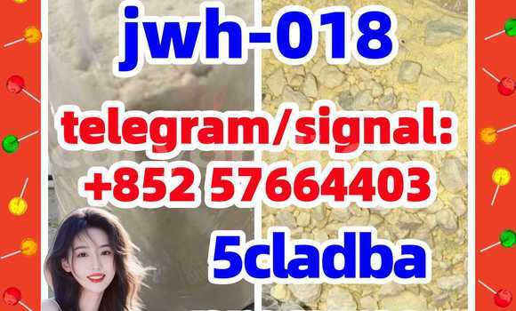 Medium with watermark 51